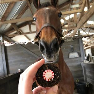 Meet your Posher, Sage